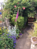 Jennifer's garden gate in Dursley